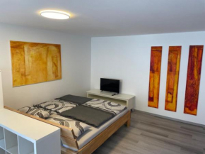 Top-1-Zimmer-Wohnung nahe Stgt. Flughafen & Messe